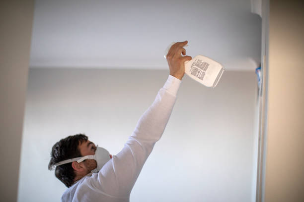 Best Mold Cleaning Services  in Mountain Home, NC