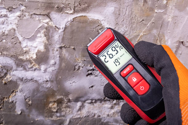 Best Toxic Mold Removal  in Mountain Home, NC