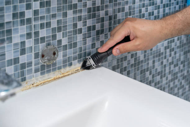 Best Mold Removal Process  in Mountain Home, NC