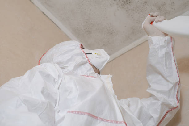 Crawl Space Mold Removal in Mountain Home, NC